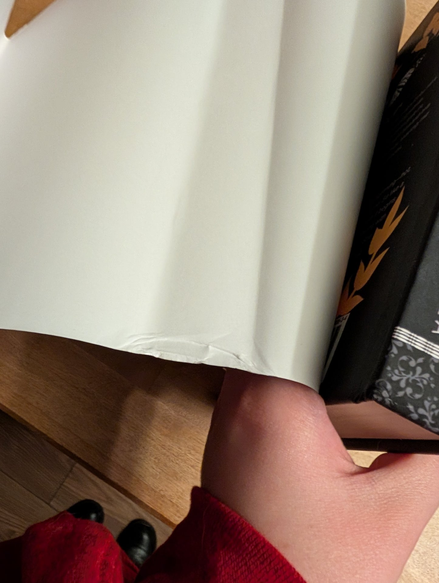 BOOK: Signed DAMAGED Discounted Hardback TDAHG